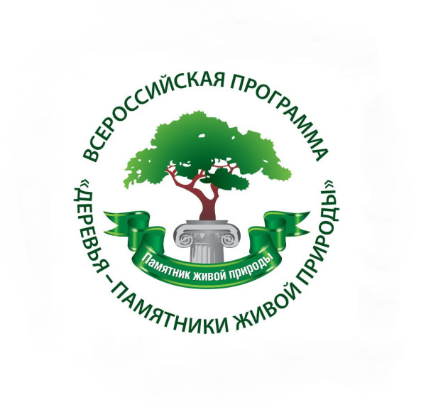Национальный конкурс «Российское дерево года 2023».